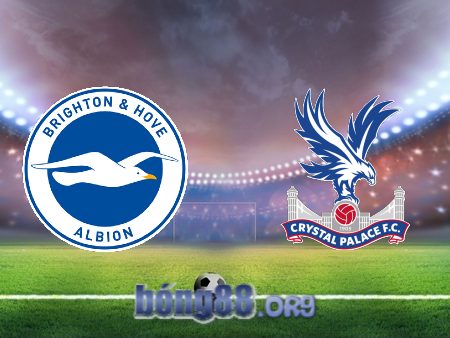 Soi kèo nhà cái Brighton vs Crystal Palace – 02h30 – 16/03/2023